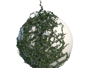 ivy 3D Model