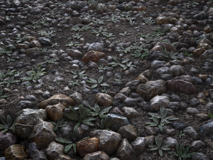 gravel18 pbr texture Tekstur CG