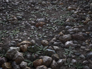 gravel18 pbr texture CG Textures