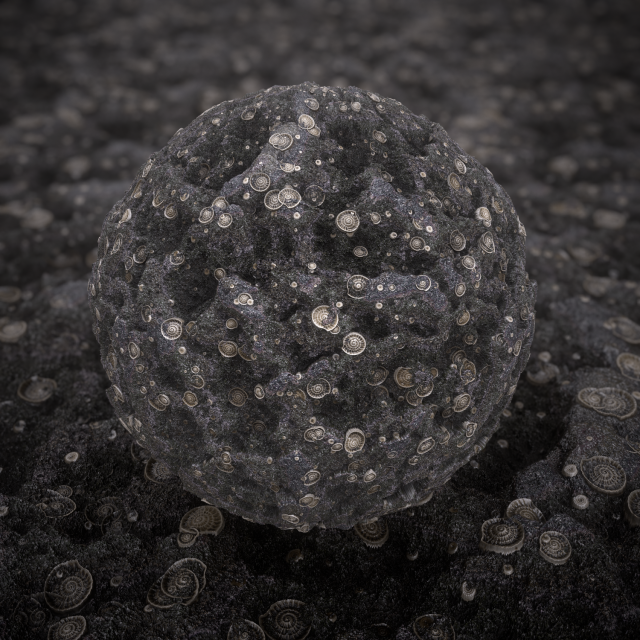 shell soil CG Textures .c4d .max .obj .3ds .fbx .stl .blend 