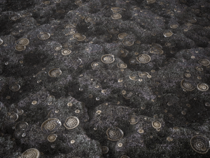 shell soil CG Textures