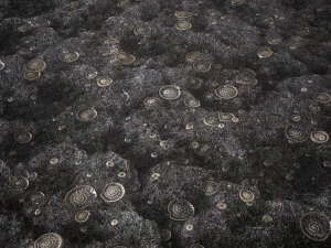 schelpengrond CG Texturen