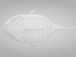 small fish animated 3D Model