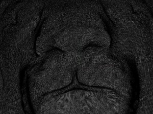 lion head 3D-printmodel