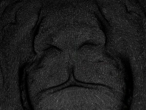 lion head 3D Print Model