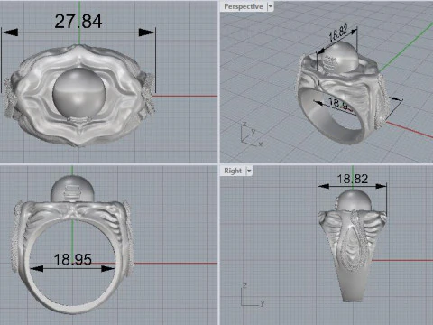 Shiva Lingam Motif Ring 3D Printable Digital Model 3D Print Model