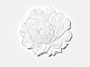 peony bas-relief flower 3D Print Model