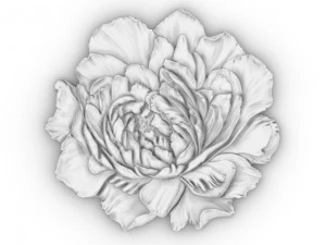 peony bas-relief flower 3D Print Model