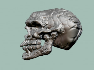 alien skull 3D Print Model