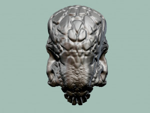 alien skull 3D Print Model