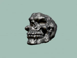 alien skull 3D Print Model