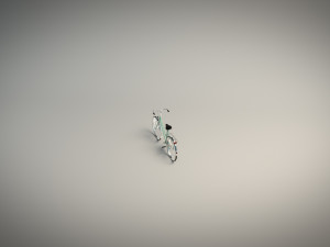 low poly ladies bike Modello 3D