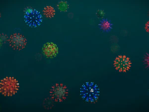 laag poly-viruspakket 01 3D Model