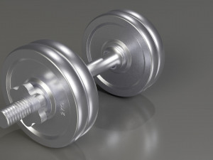 Dumbbells 3D Model