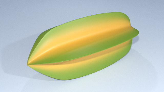 simple star fruit 3D Model .c4d .max .obj .3ds .fbx .stl .blend 