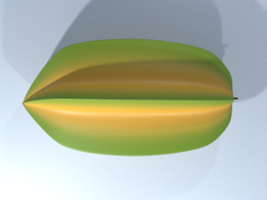 simple star fruit 3D Model