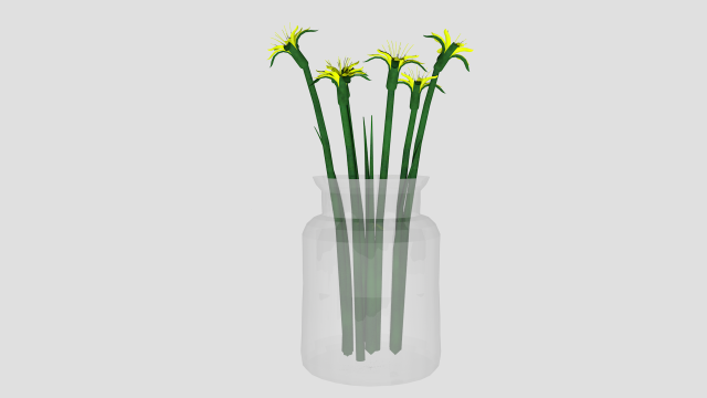 flowers 3D Model .c4d .max .obj .3ds .fbx .stl .blend 