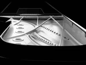Piano design 3D Model