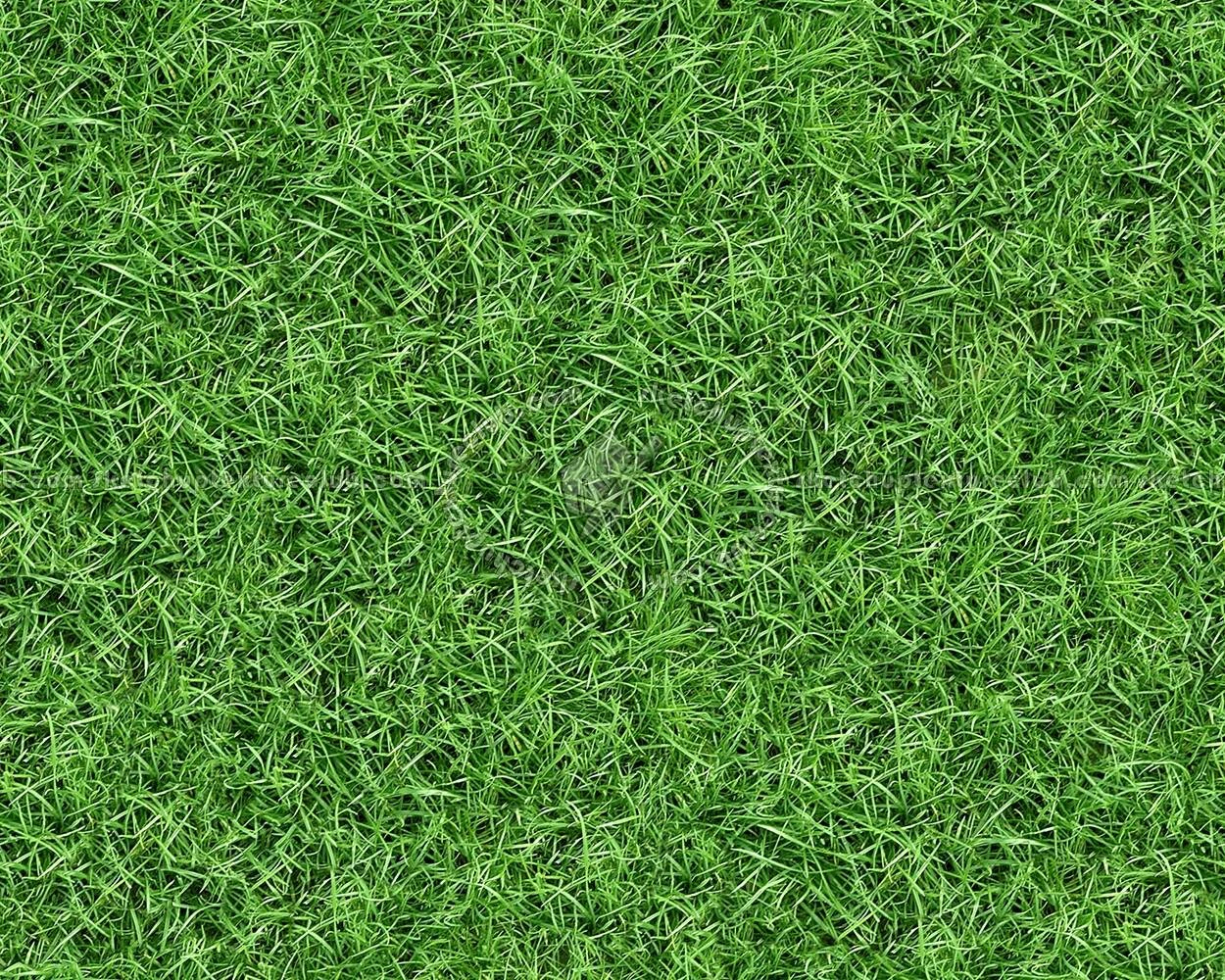 game tree 3D Model .c4d .max .obj .3ds .fbx .stl .blend 