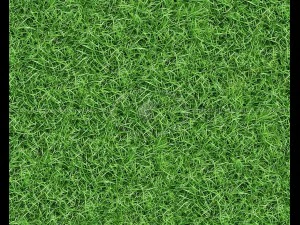 ゲームツリー 3Dモデル