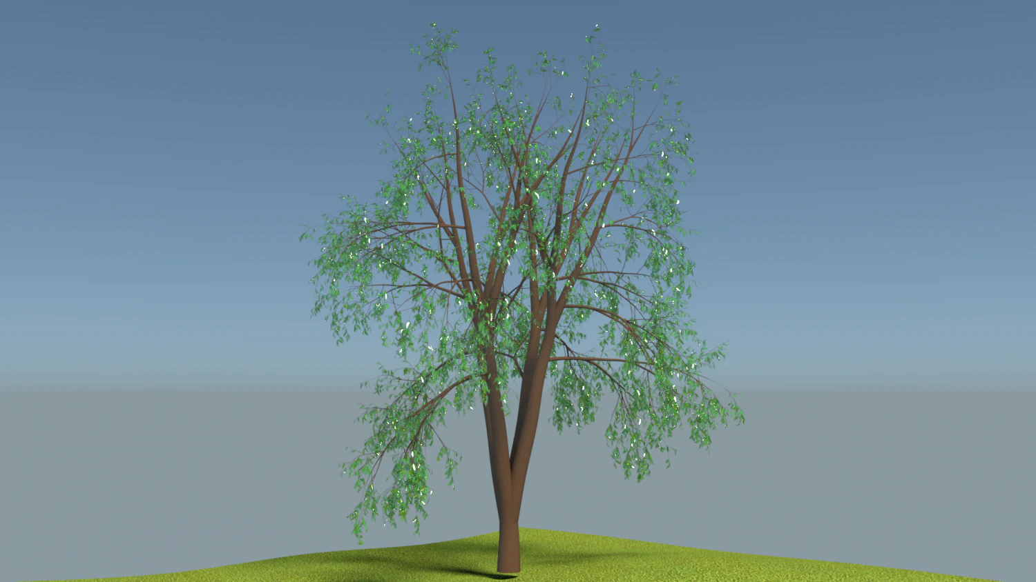 little tree 3D Model .c4d .max .obj .3ds .fbx .stl .blend 