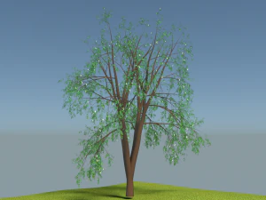 маленькое дерево 3D Модель