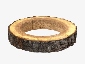 wood log ring 3D Model