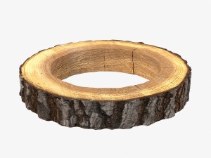 wood log ring 3Dモデル