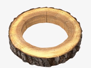 wood log ring 3Dモデル
