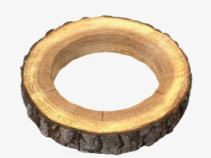 anel de tora de madeira Modelo 3D