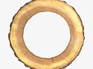 wood log ring 3Dモデル