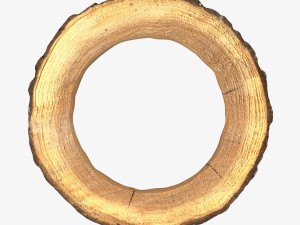 wood log ring 3Dモデル