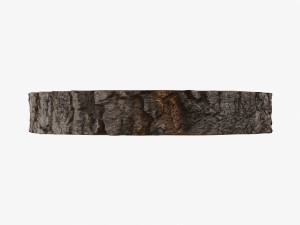 wood log ring 3Dモデル