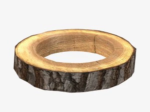 wood log ring low-poly 3D Model