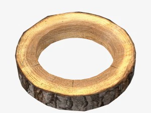 wood log ring low-poly 3D Model