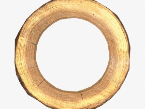 wood log ring low-poly 3D 모델