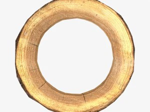 wood log ring low-poly 3D Model