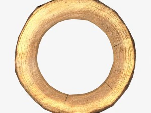 wood log ring low-poly 3D Model