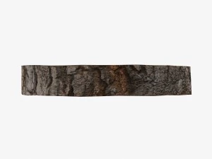 wood log ring low-poly 3D Model