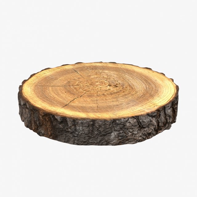 wood log slice 3D Model .c4d .max .obj .3ds .fbx .stl .blend 