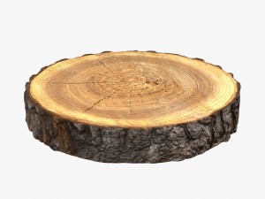 wood log slice 3D Model