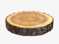 wood log slice 3Dモデル