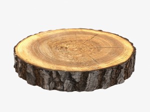 wood log slice 3D Model