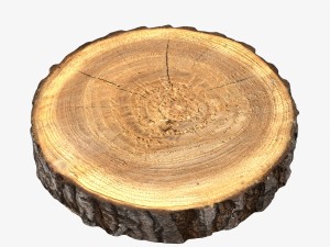 wood log slice 3D Model