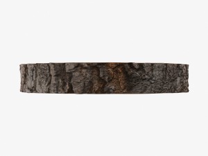 wood log slice 3D Model