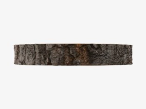 wood log slice 3D Model