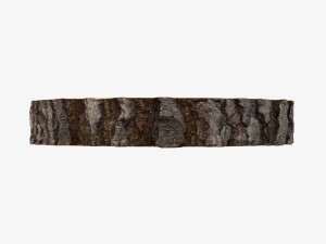 wood log slice 3D Model