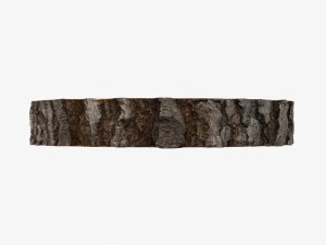 wood log slice 3D Model
