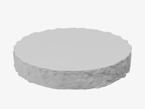 wood log slice 3D Model