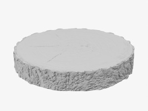 wood log slice 3D Model